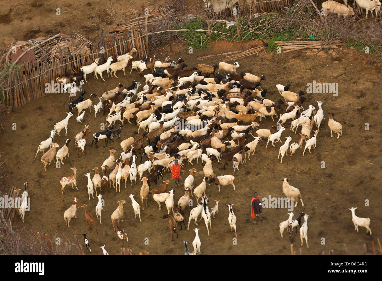 Luftaufnahme der Rendille Dorf Hütten und Vieh Stifte. Kenia Stockfoto