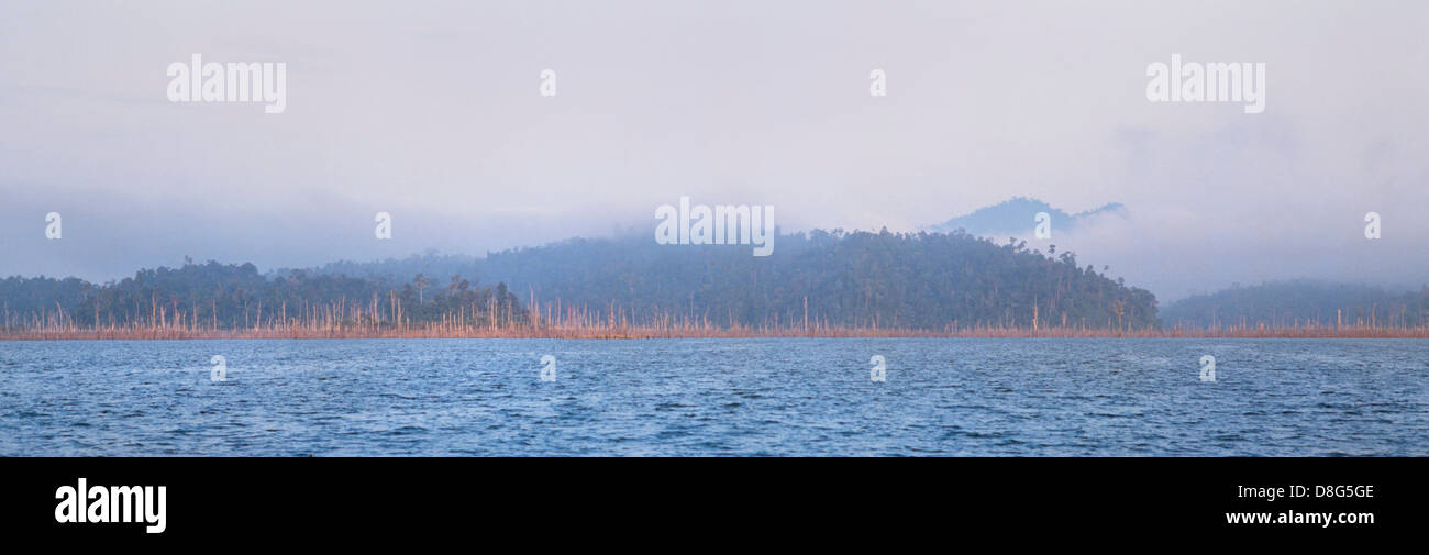 Lake Kenyir, Pahang, Malaysia, überflutete Waldbäume Stockfoto