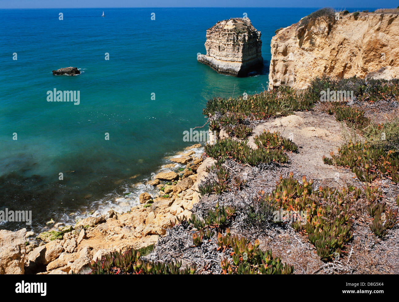 Die Küstenlandschaft der Algarve Portugal, in der Nähe von Praia de Rocha Stockfoto