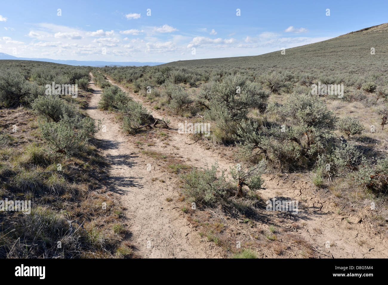 Tracks aus den historischen Oregon Trail, nordöstlichen Oregon. Stockfoto