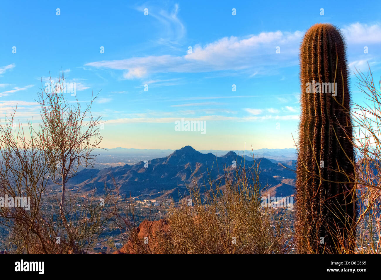 Einzelnen Kaktus am Gipfel des Camelsback mit Blick auf Hügel von Phoenix in Arizona Stockfoto