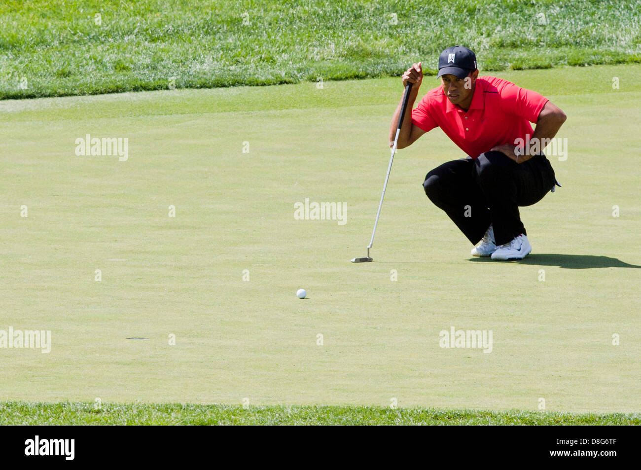 3. Juni 2012: Tiger Woods reiht sich ein Putt bei der Endrunde der The Memorial Tournament im Muirfield Village Golf Club in Dublin, Ohio Stockfoto