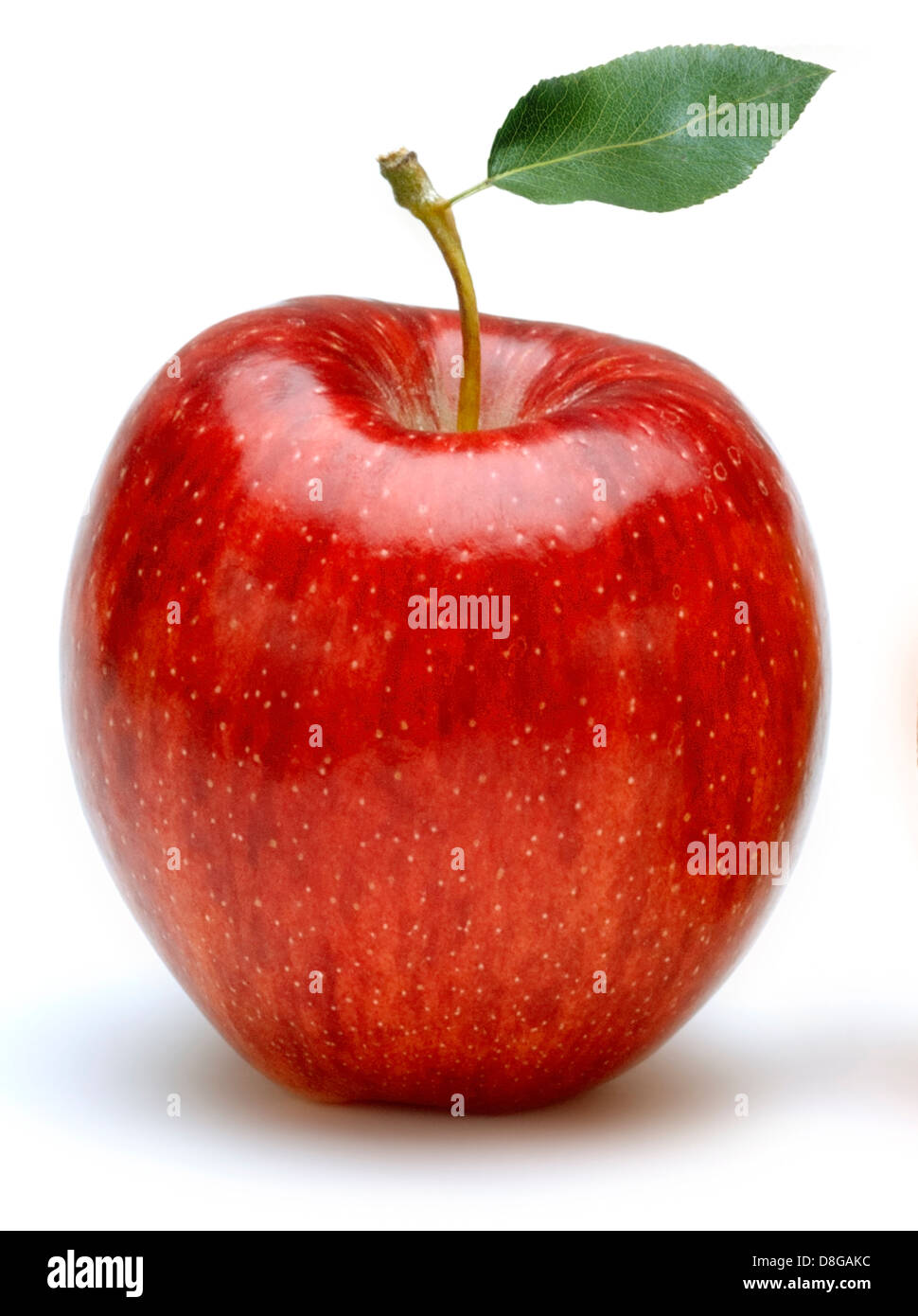 Apfel mit Blatt Stockfoto
