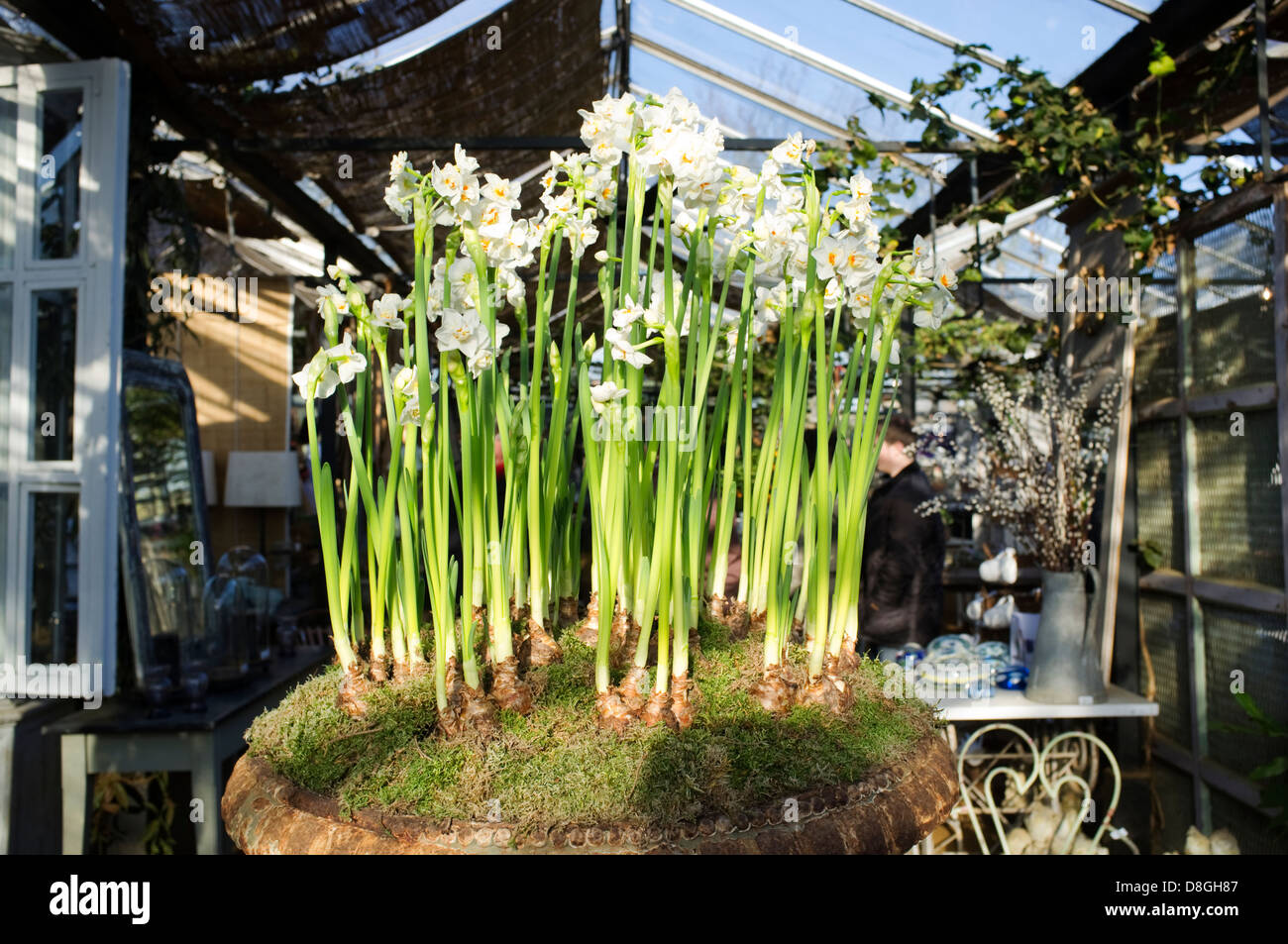 Petersham Nurseries, eine Gärtnerei, Teestube und Café in Richmond, Surrey, England, UK. Stockfoto