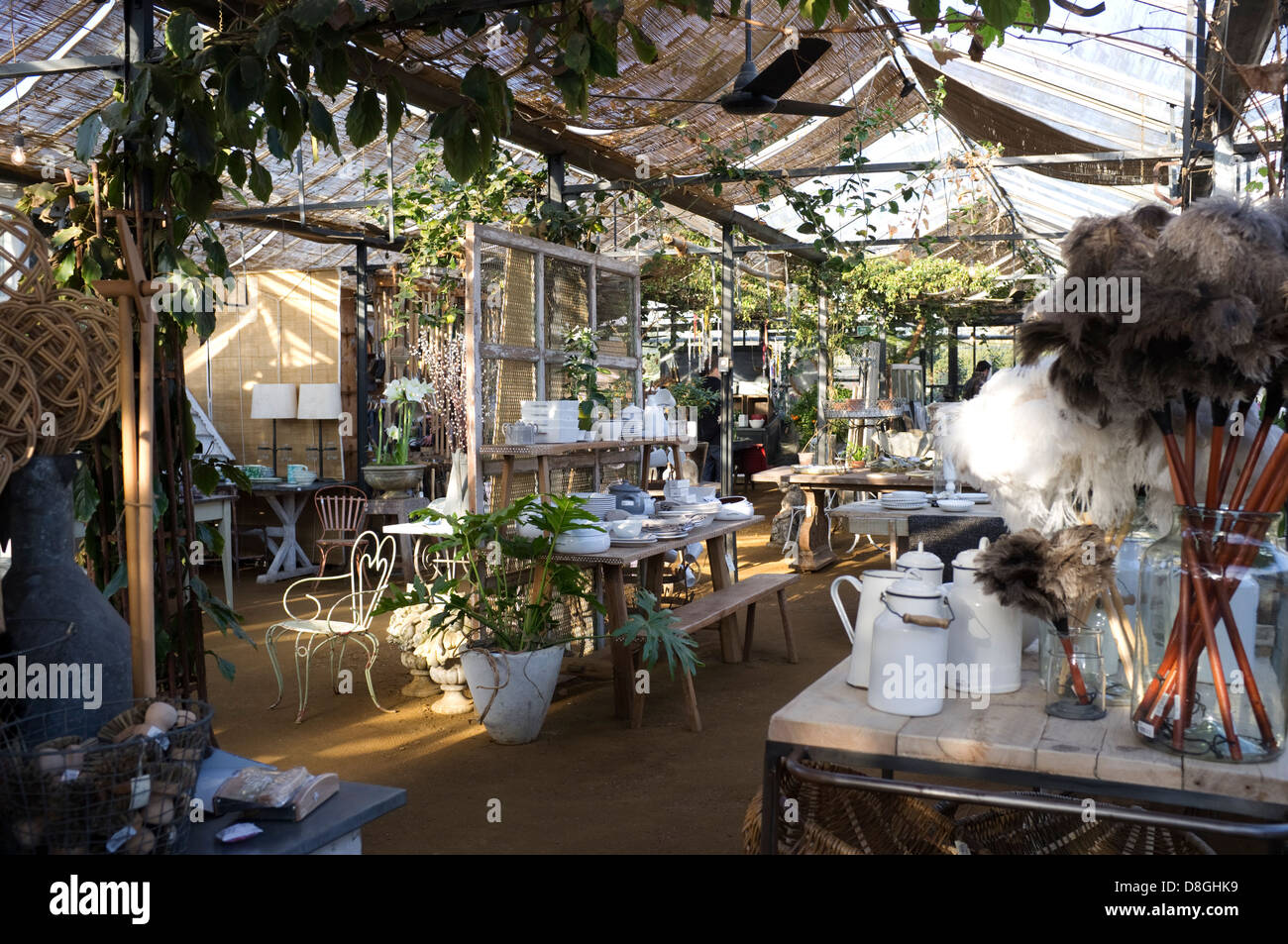 Petersham Baumschulen, einer Gärtnerei, Teestube und Cafe in Richmond, Surrey, England, UK. Stockfoto