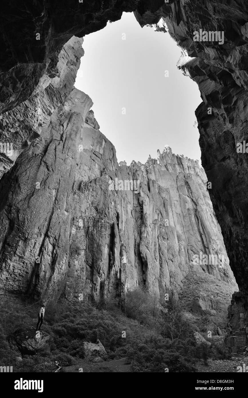 Wanderer, Blick auf die Ansicht in eine tiefe Seite Canyon des Idaho-Jarbidge-River-Canyon. Stockfoto