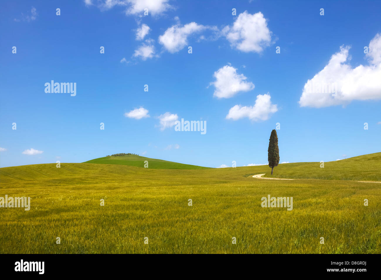 Val d ' Orcia, Toskana, Italien Stockfoto