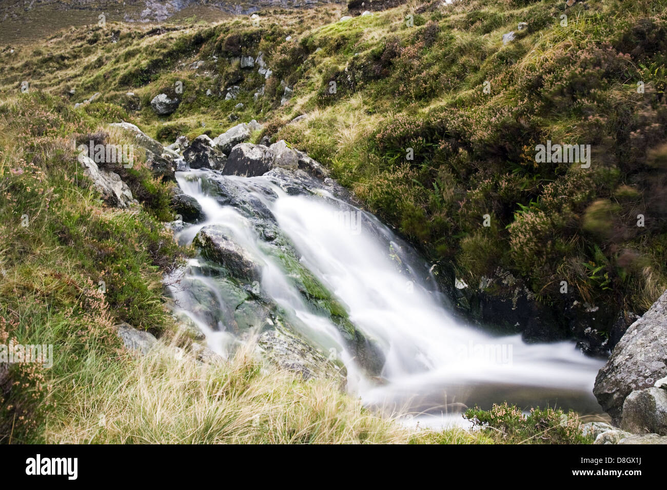 Irische Natur Stockfoto