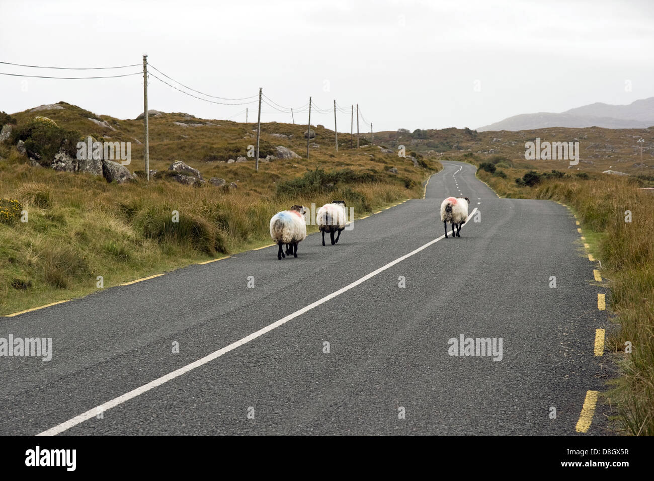 Verkehr in Irland Stockfoto