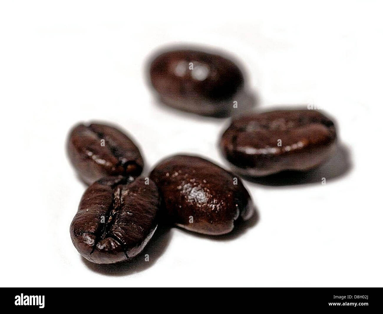 Dieses Bild zeigt eine Nahaufnahme frisch gerösteter Kaffeebohnen. Die kräftige braune Farbe und Textur der Bohnen unterstreichen ihre Qualität, die für die Herstellung von hochwertigem Kaffee entscheidend ist. Kaffeebohnen sind ein lebenswichtiges Agrarprodukt, das in tropischen Regionen angebaut und für den weltweiten Verbrauch verarbeitet wird. Stockfoto