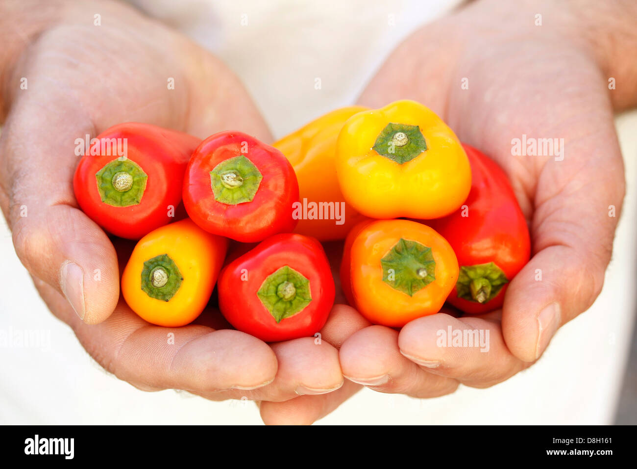 Minipeppers, Stockfoto