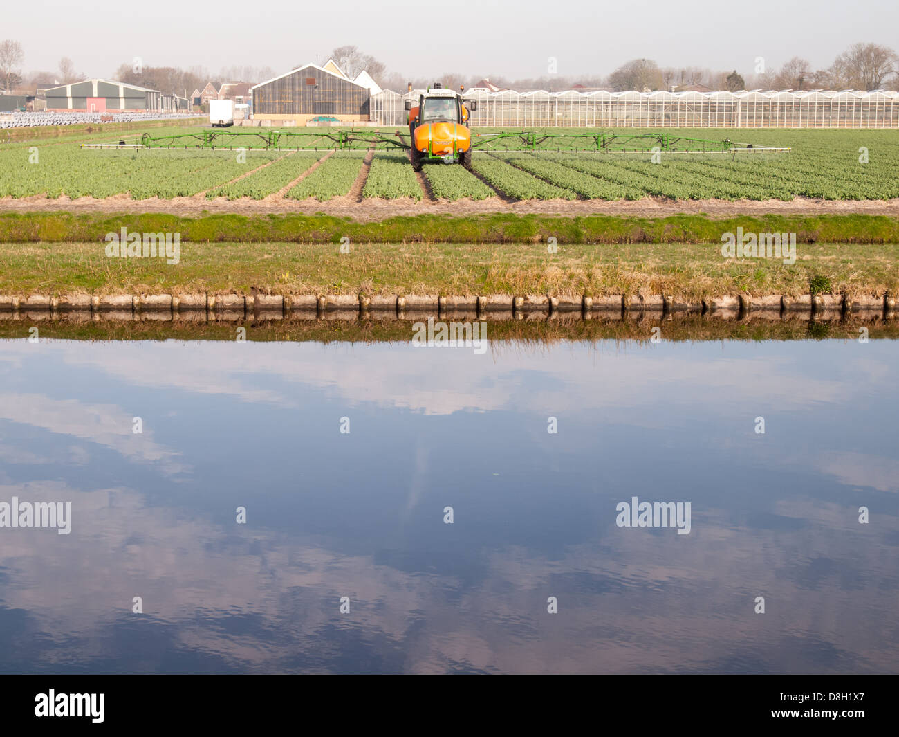 Traktor Sprühen von Pestiziden auf Blumenfelder mit Kanal im Vordergrund. Konzept-Landbewirtschaftung und Umwelt. Stockfoto