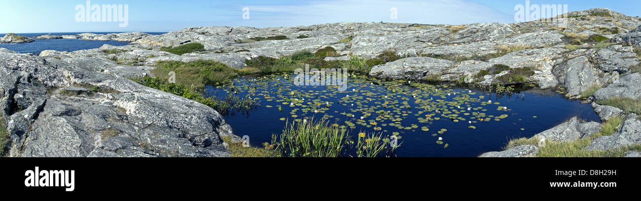 See mit Seerosen in einer felsigen Landschaft Stockfoto