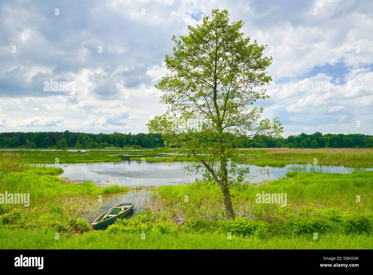 Landschaft mit einsamen Baum und Boot mit Hochwasser des Flusses Narew. Stockfoto