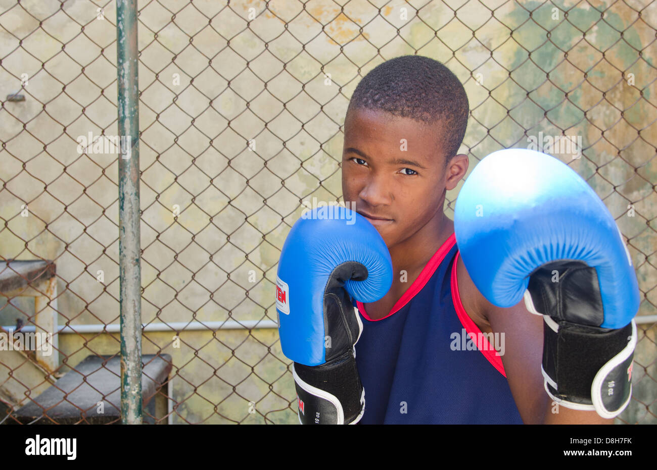 Havanna Kuba junger Boxer im Training mit Handschuhen im Alter von 11 in Turnhalle üben Boxen Stockfoto