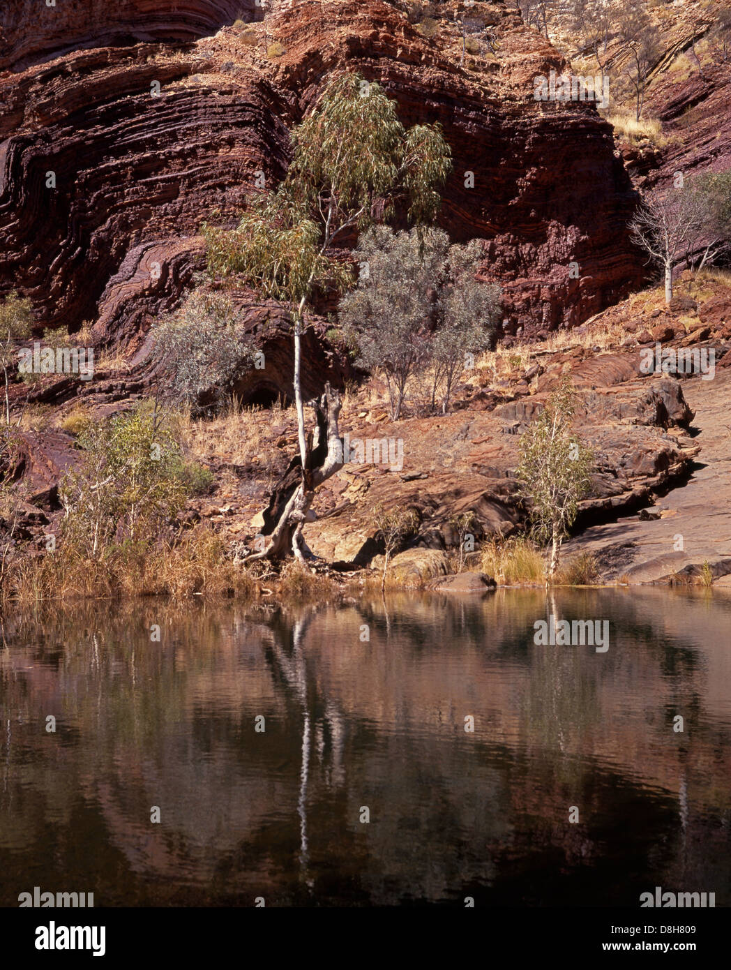 Blick auf die Schlucht Pool und Rock Gesichter, Hamersley Gorge, Karijini-Nationalpark, Pilbara, Western Australia, Australien. Stockfoto