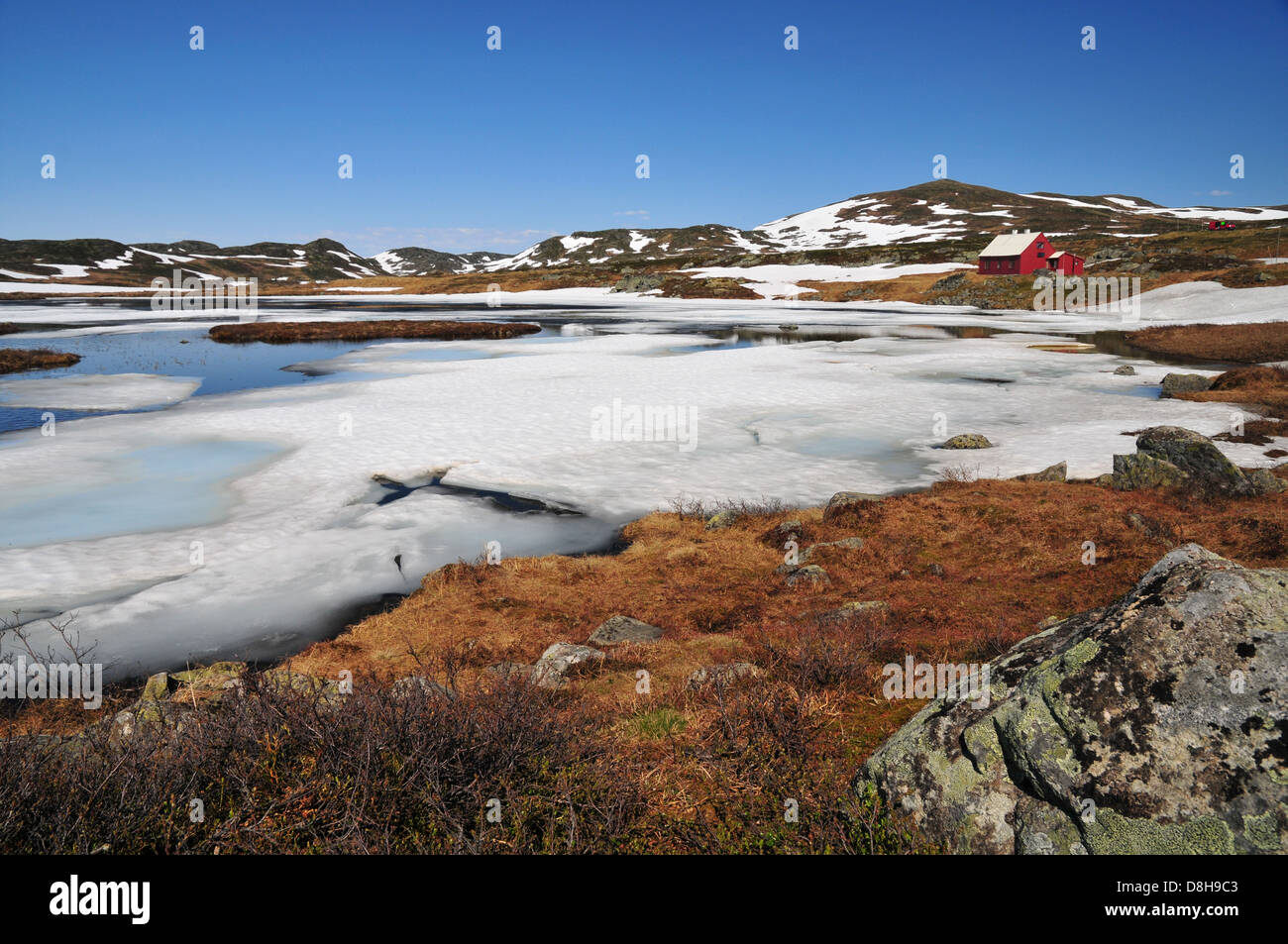Eissee in die Hardangervidda Stockfoto