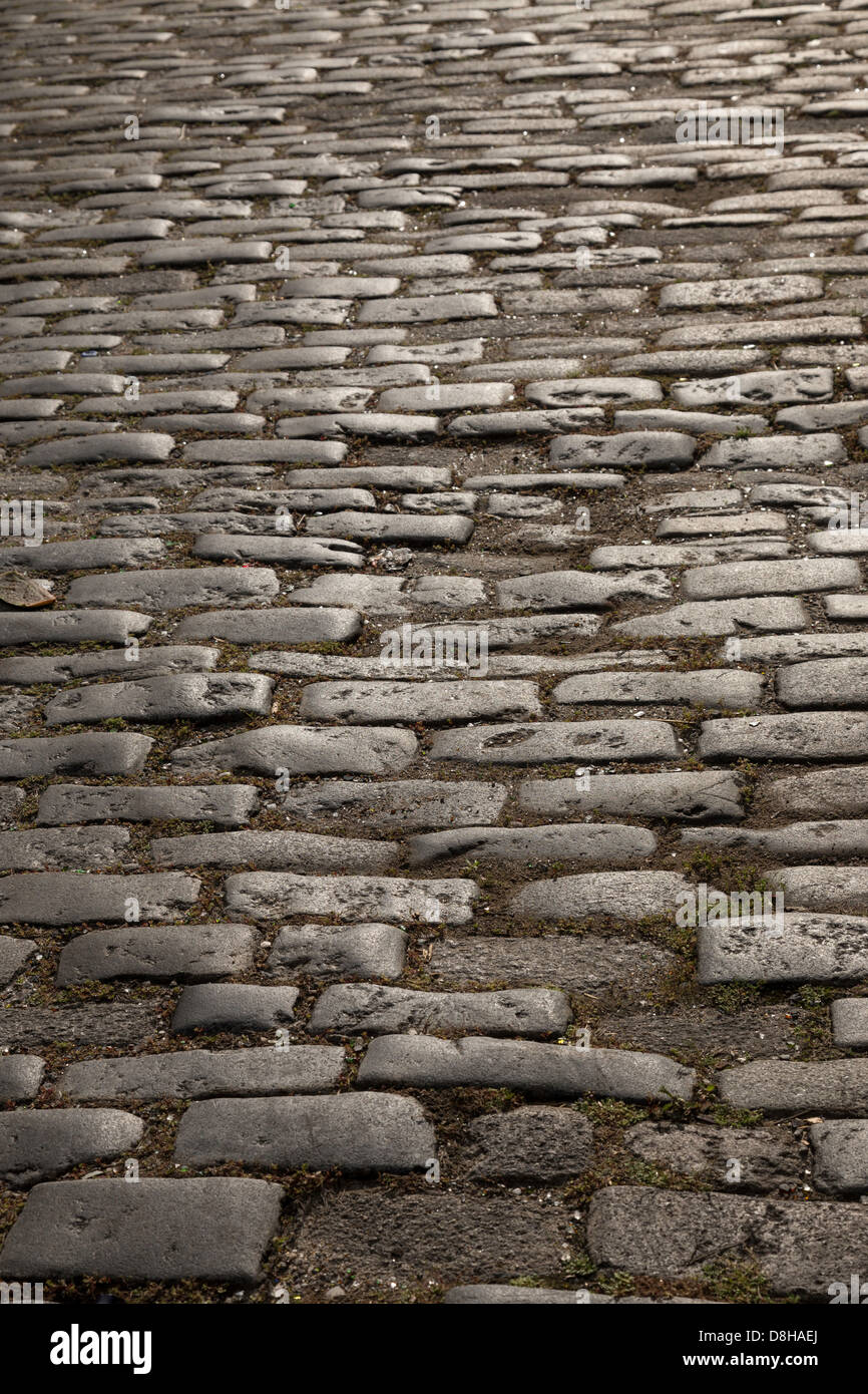 Gepflasterten Straße, Schiffs-Ballast-Steinen, Charleston, SC, USA Stockfoto