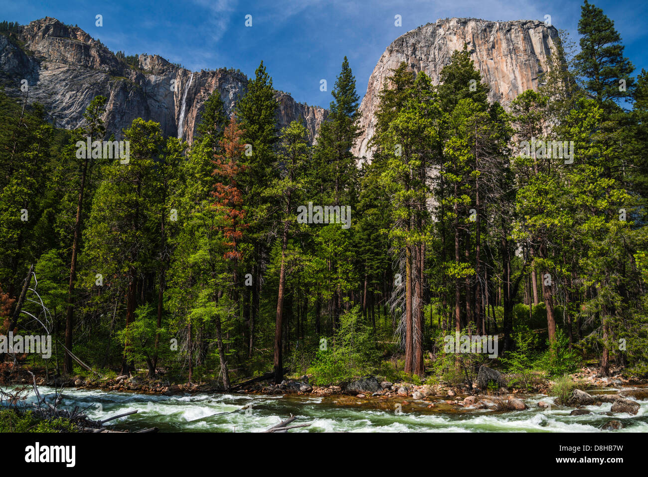 El Capitan im Yosemite-Nationalpark Stockfoto