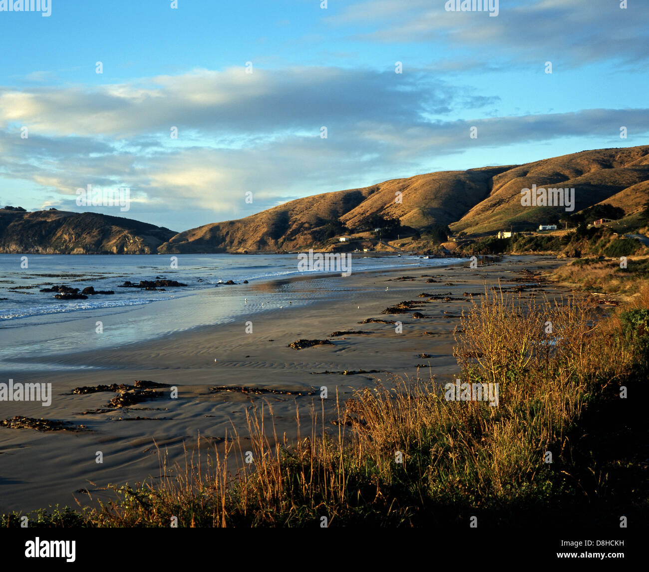 Blick entlang der Strand, Nugget Point, Catlins Küste, Otago Region, Südinsel, Neuseeland. Stockfoto