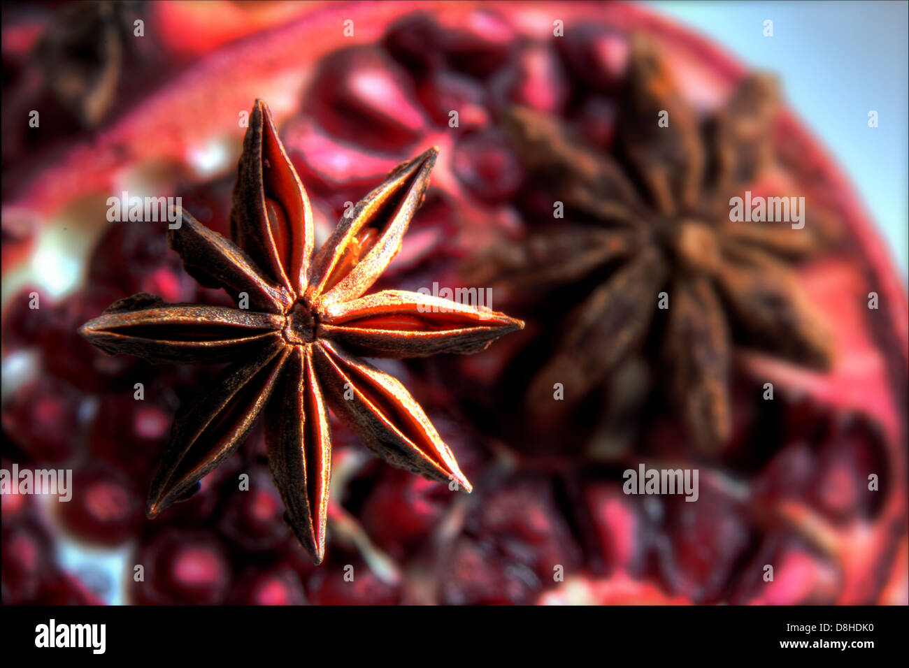 Sternanis Illicium Verum Anis-wie Gewürz in der chinesischen Küche Stockfoto