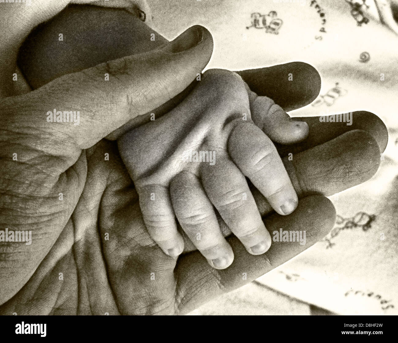 Ein Erwachsener hält seine Babys Hand zum ersten Mal Stockfoto