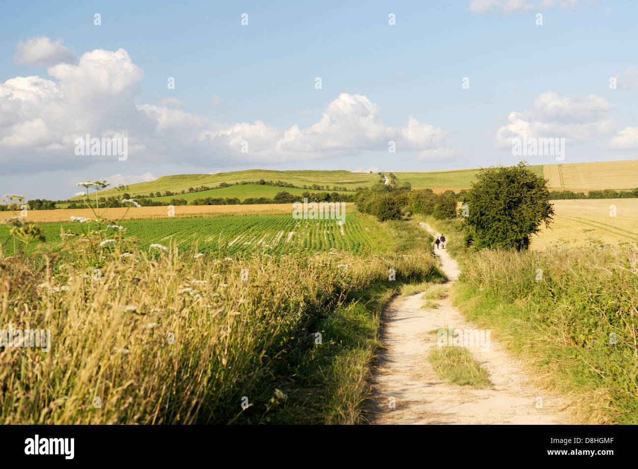 Der Höhenweg in der Nähe von Wayland Schmiede in Richtung Uffington Castle. Teil der 5000 Jahre alten Langdistanz Strecke. Oxfordshire, England Stockfoto