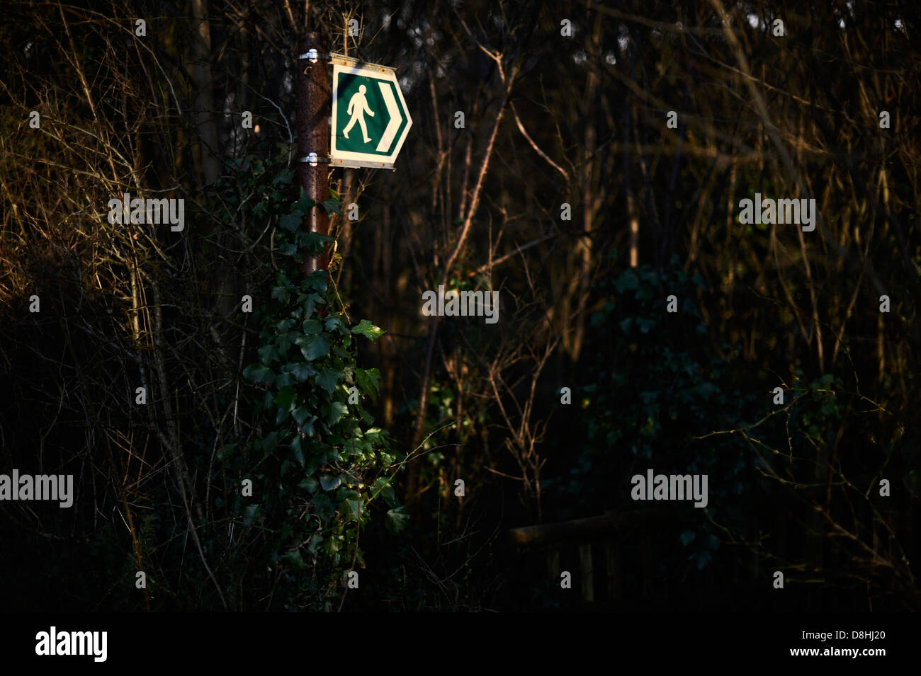 Metall Schild oder Wegpunkt im Wald Lllanrhystud, Wales, UK Stockfoto