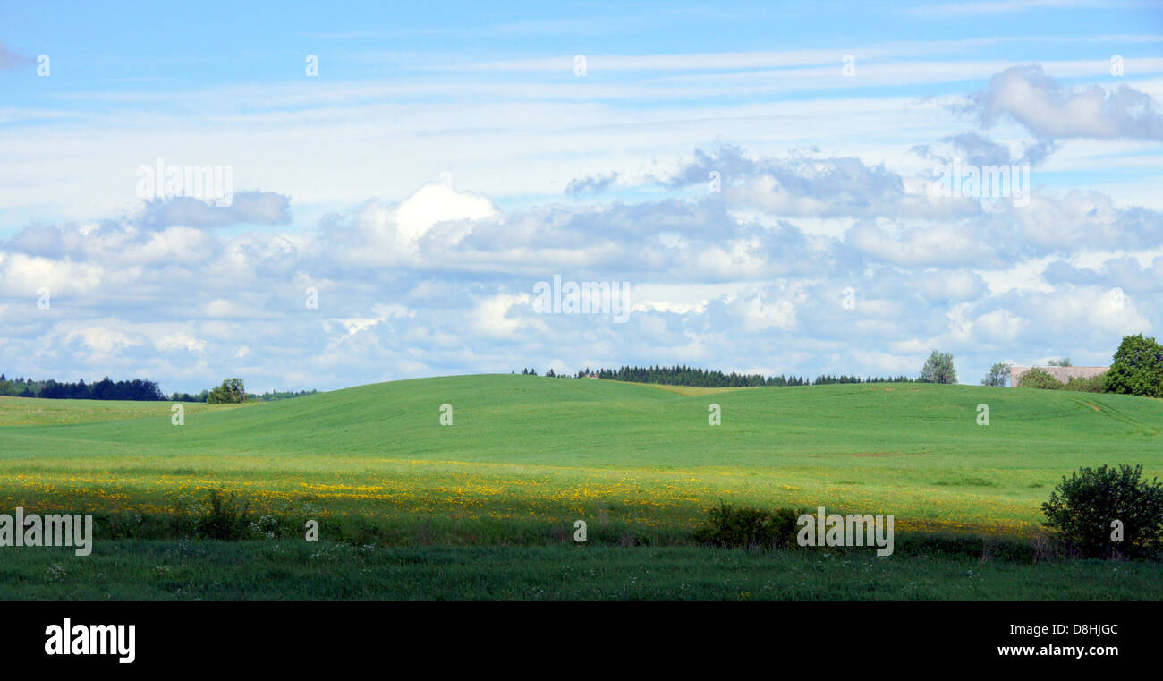 Wiese und Wolken auf einem Hintergrund des Himmels Stockfoto