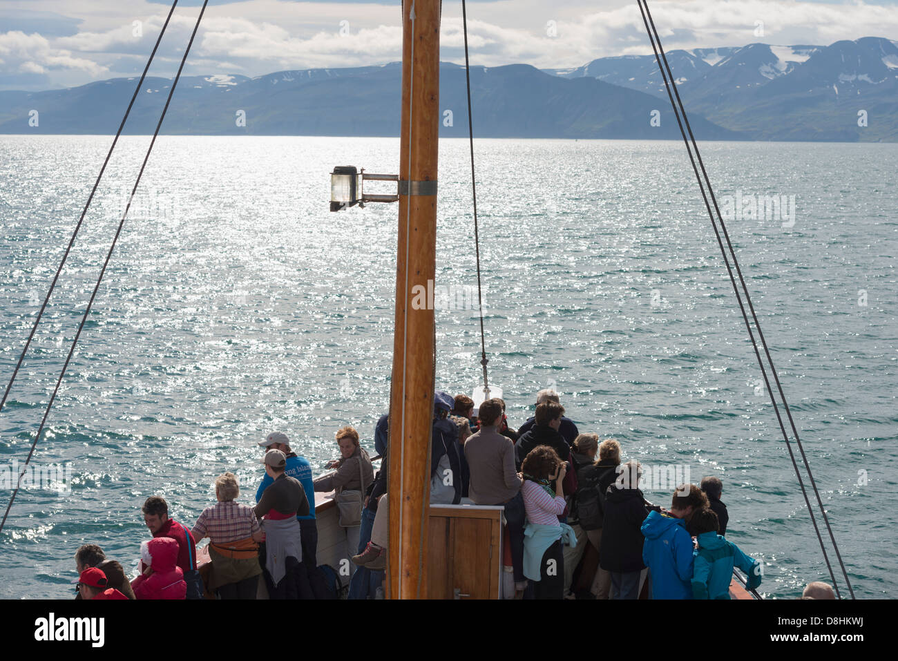 Island, Nordregion, Husavik, Whale-watching tour Stockfoto