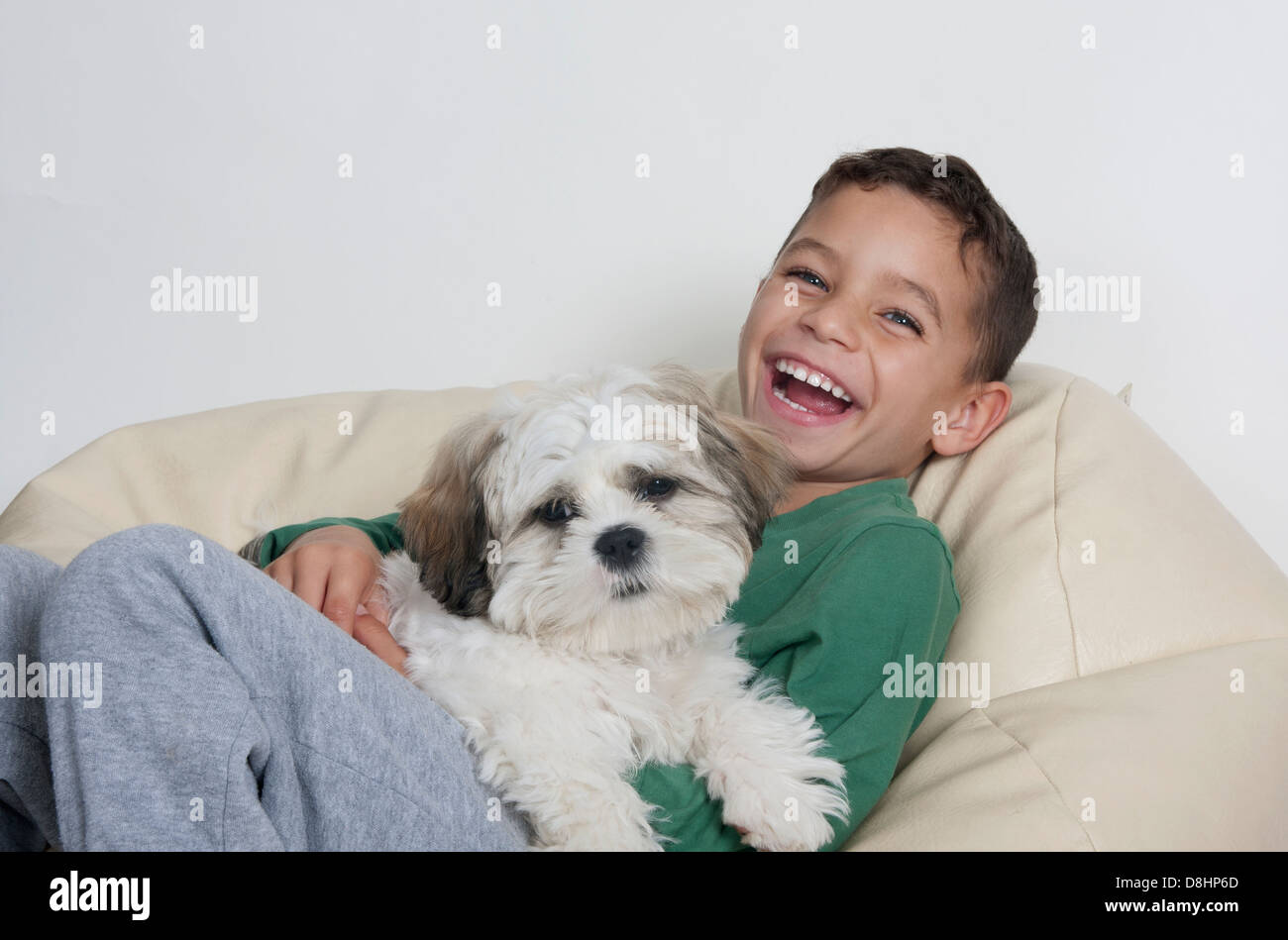 glücklich kleiner Junge mit seinem Shih-Tsu-Welpen Stockfoto