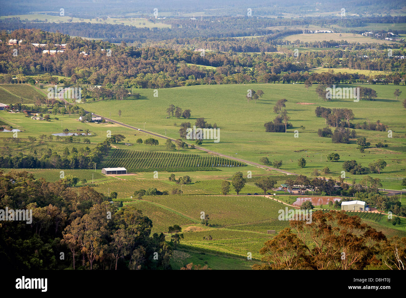 Panoramablick auf Hunter Valley mit Weinbergen NSW Australia Stockfoto
