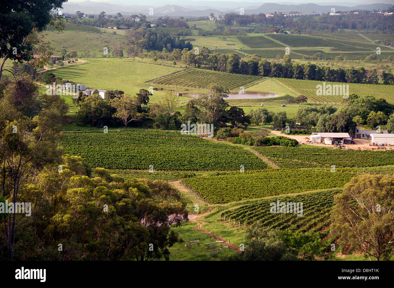 Panoramablick auf Hunter Valley mit Weinbergen NSW Australia Stockfoto