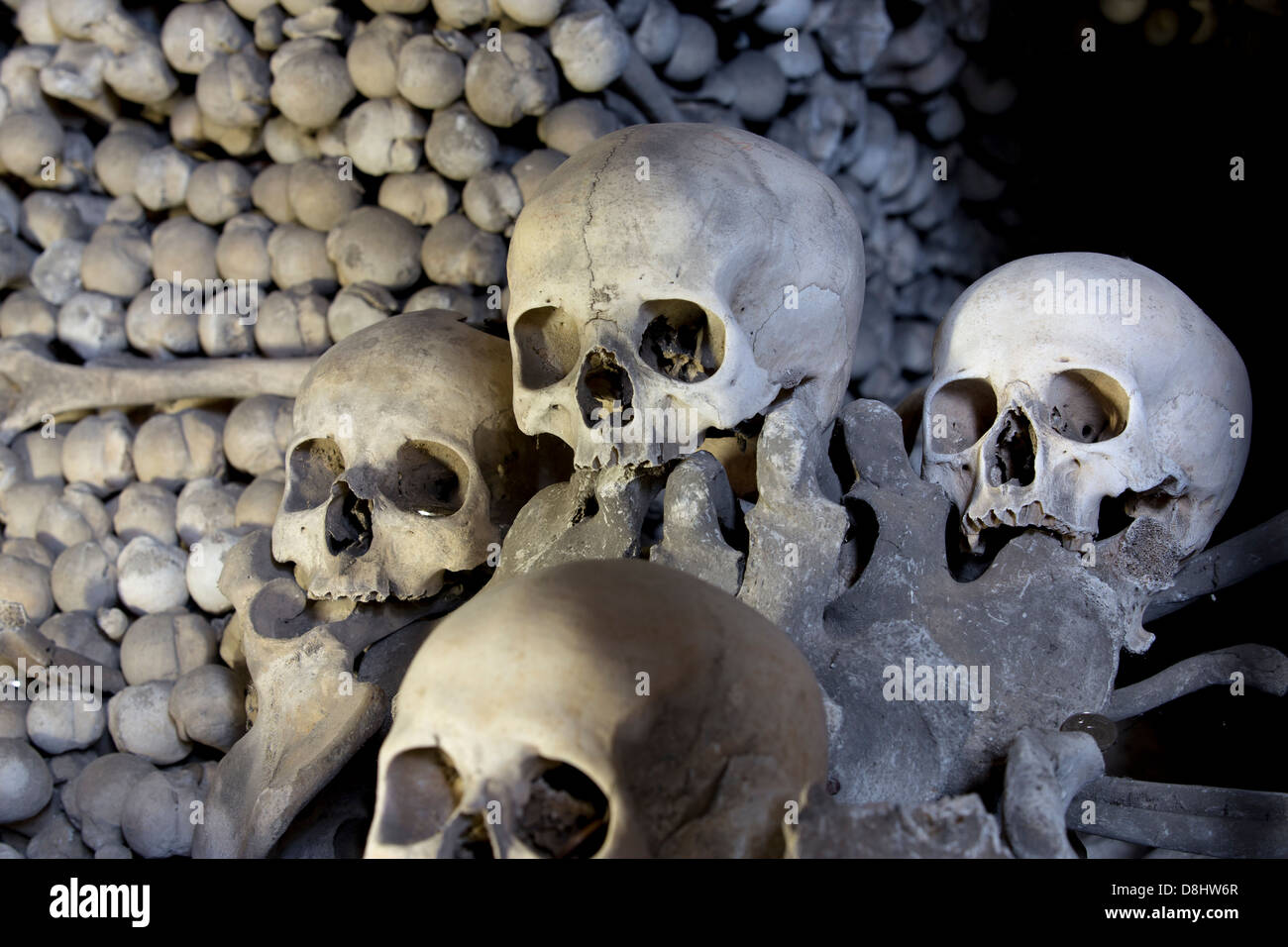 Schädel und Knochen im Kutna Horas "Bone" Kirche Sedlec Beinhaus in Tschechien, Europa. Stockfoto