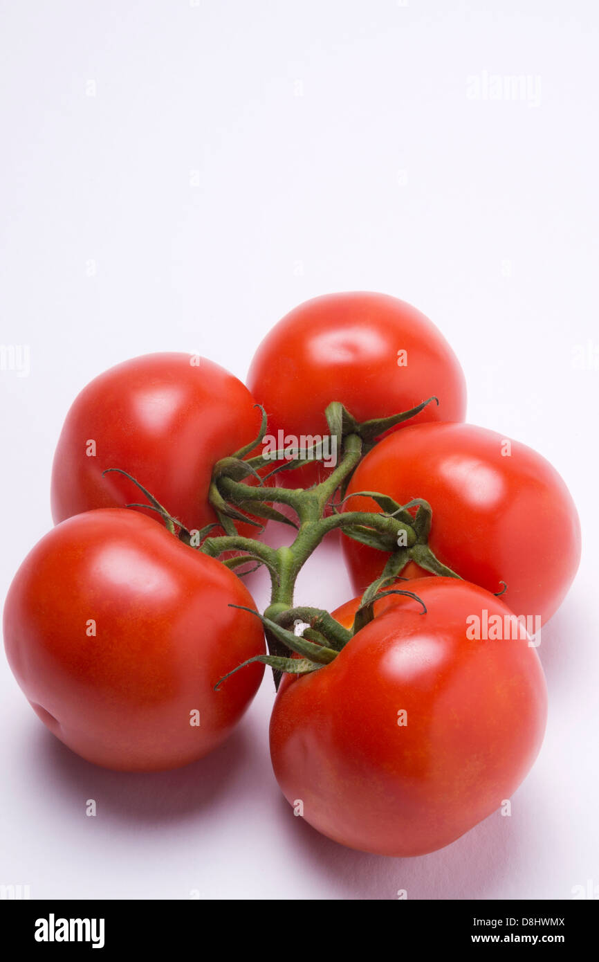 Rebe reife Tomaten auf einem weißen Hintergrund in einer Studioumgebung Stockfoto