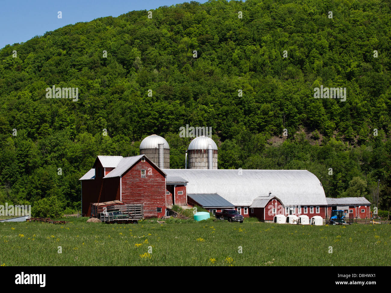 New York State Farm rote Scheune mit zwei Silos. Stockfoto