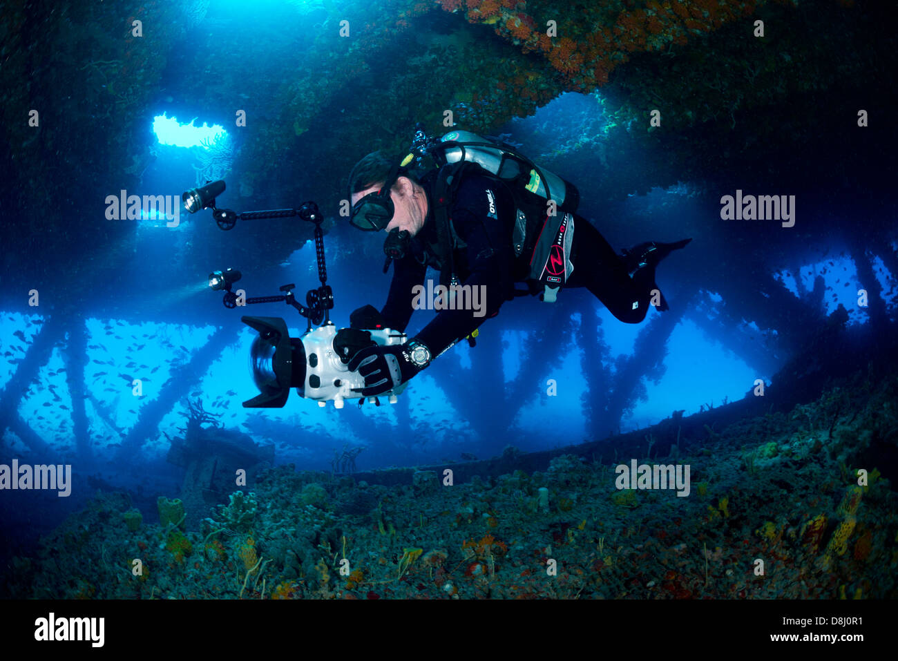 Eine Taucher filmt die Tenneco-Türme in der Nähe von Fort Lauderdale, Florida Stockfoto