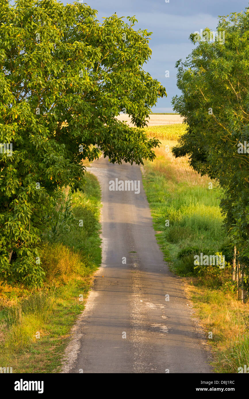 Landstraße in der Nähe von Bresdon, Charente Maritime, Frankreich Stockfoto