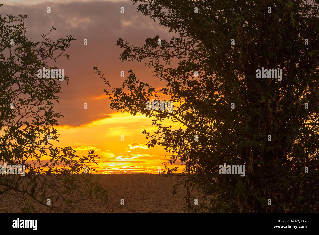 Blick auf den Sonnenuntergang in der Nähe von Gourvillette, Charente Maritime, Frankreich Stockfoto