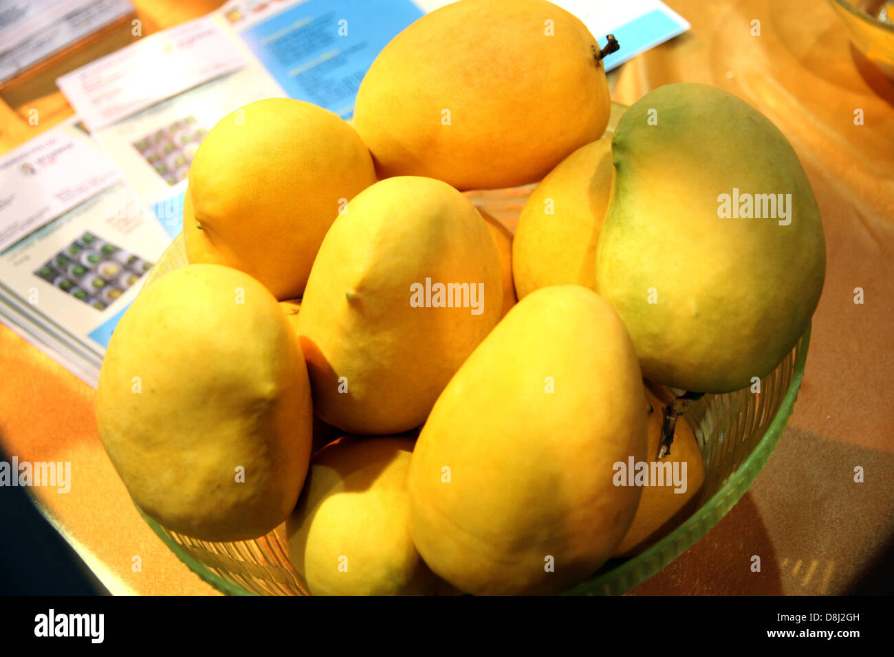 Eine Reife Mango in den Warenkorb legen sie eine gelbe Farbe. Stockfoto