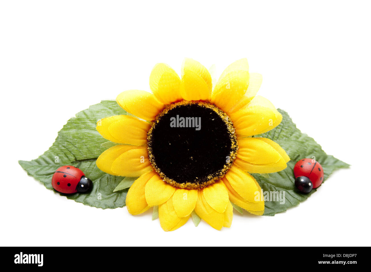 Sonnenblume mit Marienkäfer Stockfoto