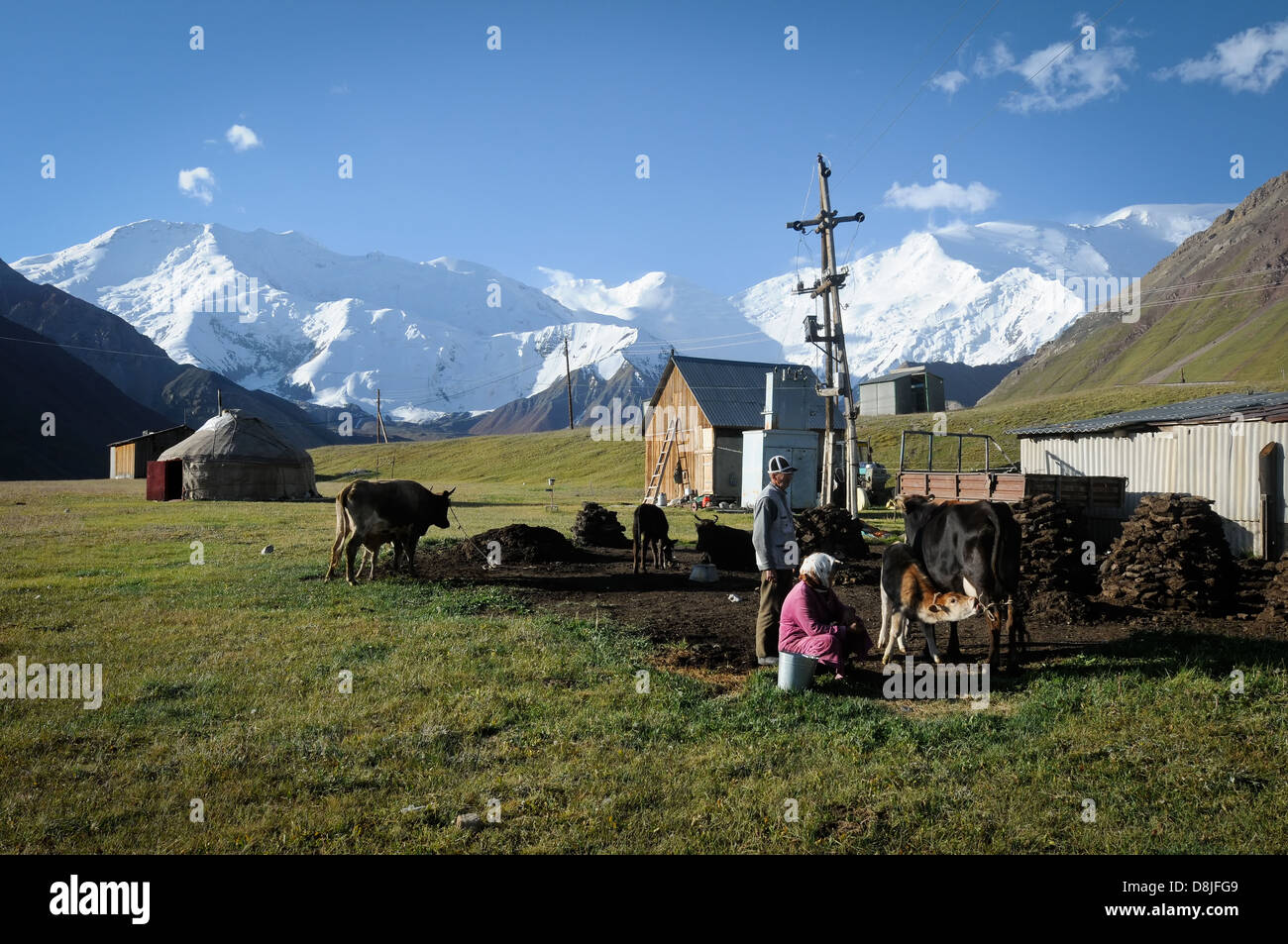 Halb-nomadisches Leben in dem zentralasiatischen Land Kirgistan Stockfoto