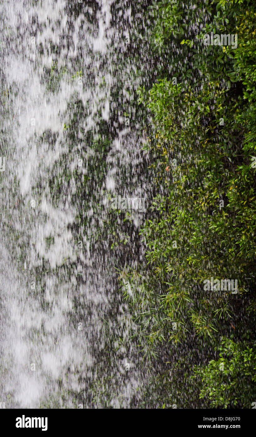 Wasser, das aus einem Wasserfall in üppiger grüner Vegetation, Royal National Park, NSW, Australien Stockfoto