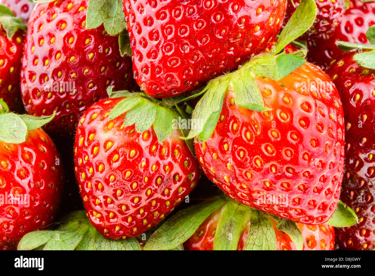 Eine Gruppe von reife Erdbeeren. Stockfoto