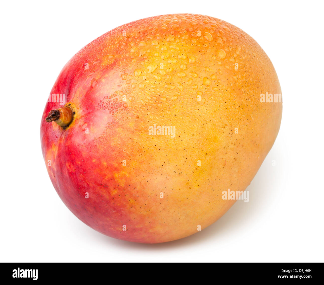 Mango eine nass auf weißem Hintergrund Stockfoto