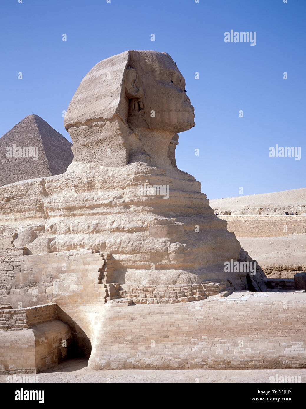 Sphynx, Gizeh, Unterägypten, Ägypten, Afrika. Stockfoto