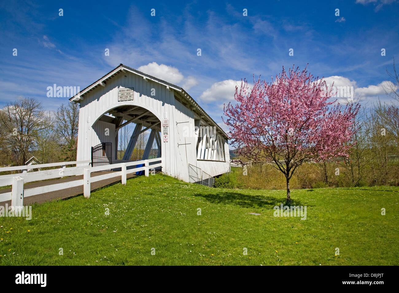 Die Weddle gedeckte Holzbrücke über den Ames Creek im Sweet Home, Oregon Stockfoto