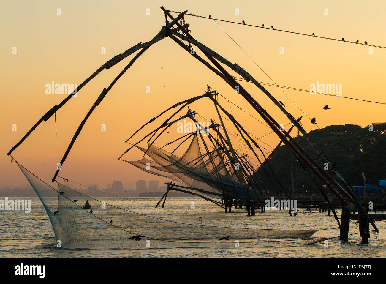 Chinesischen Fischernetz bei Sonnenaufgang in Cochin (Fort Kochi), Kerala, Indien Stockfoto