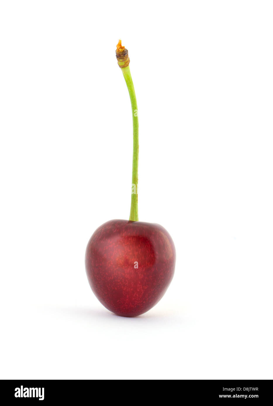 Sweet Cherry isoliert auf weißem Hintergrund Stockfoto