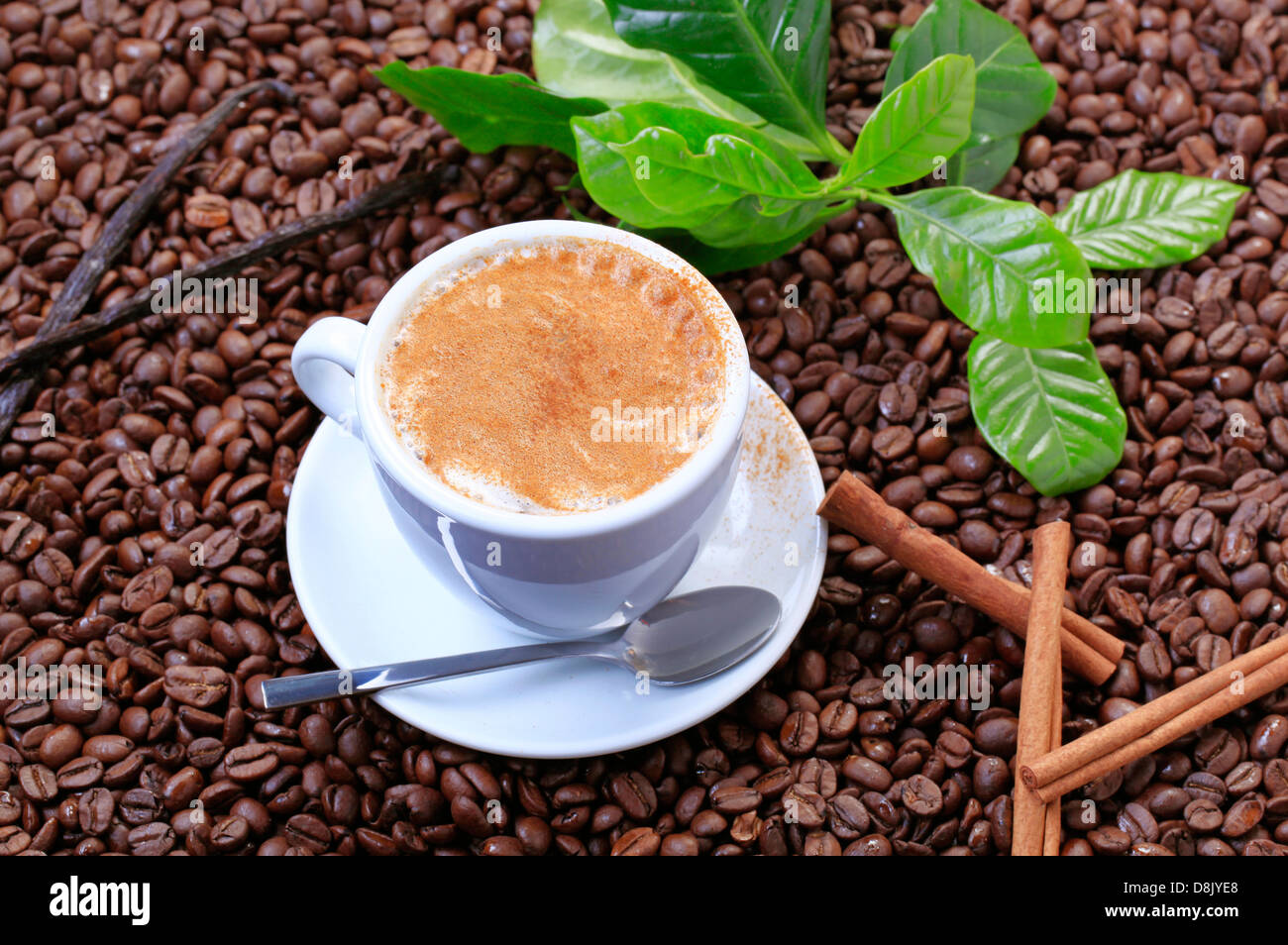 Tasse Cappuccino mit einer Prise Zimt Stockfoto
